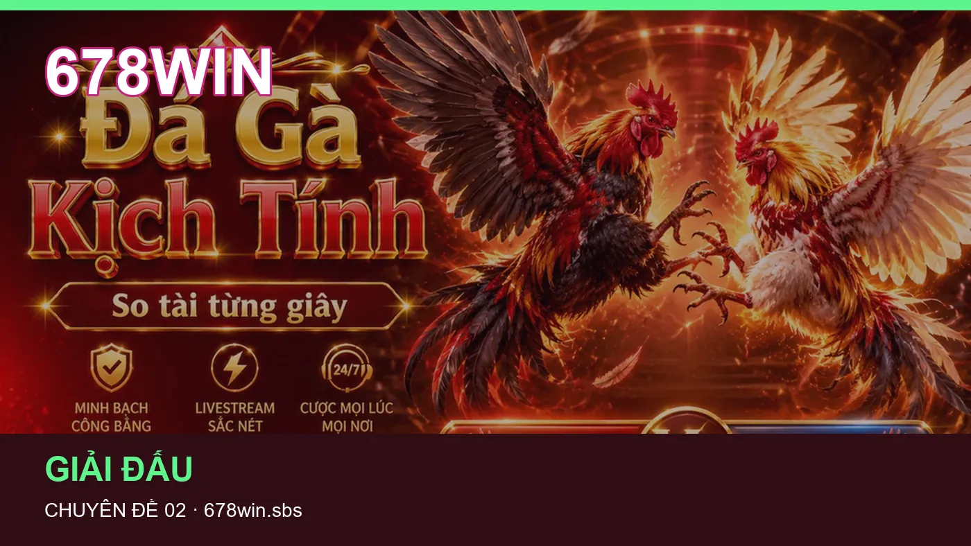 Hình minh họa bài viết 678WIN