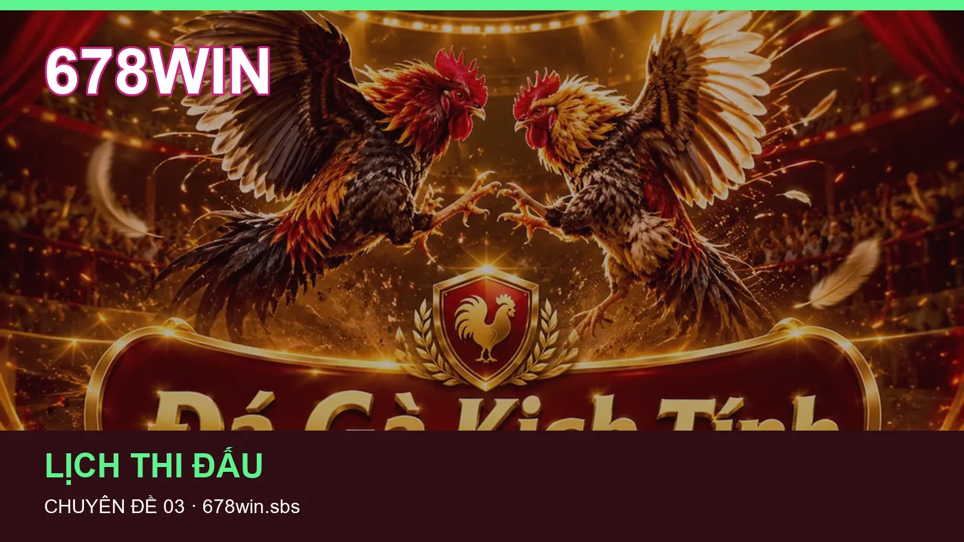 Hình minh họa bài viết 678WIN
